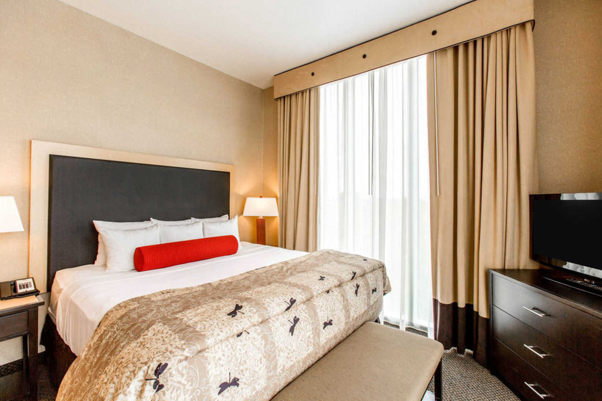 Springhill Suites By Marriott Roanoke Værelse billede