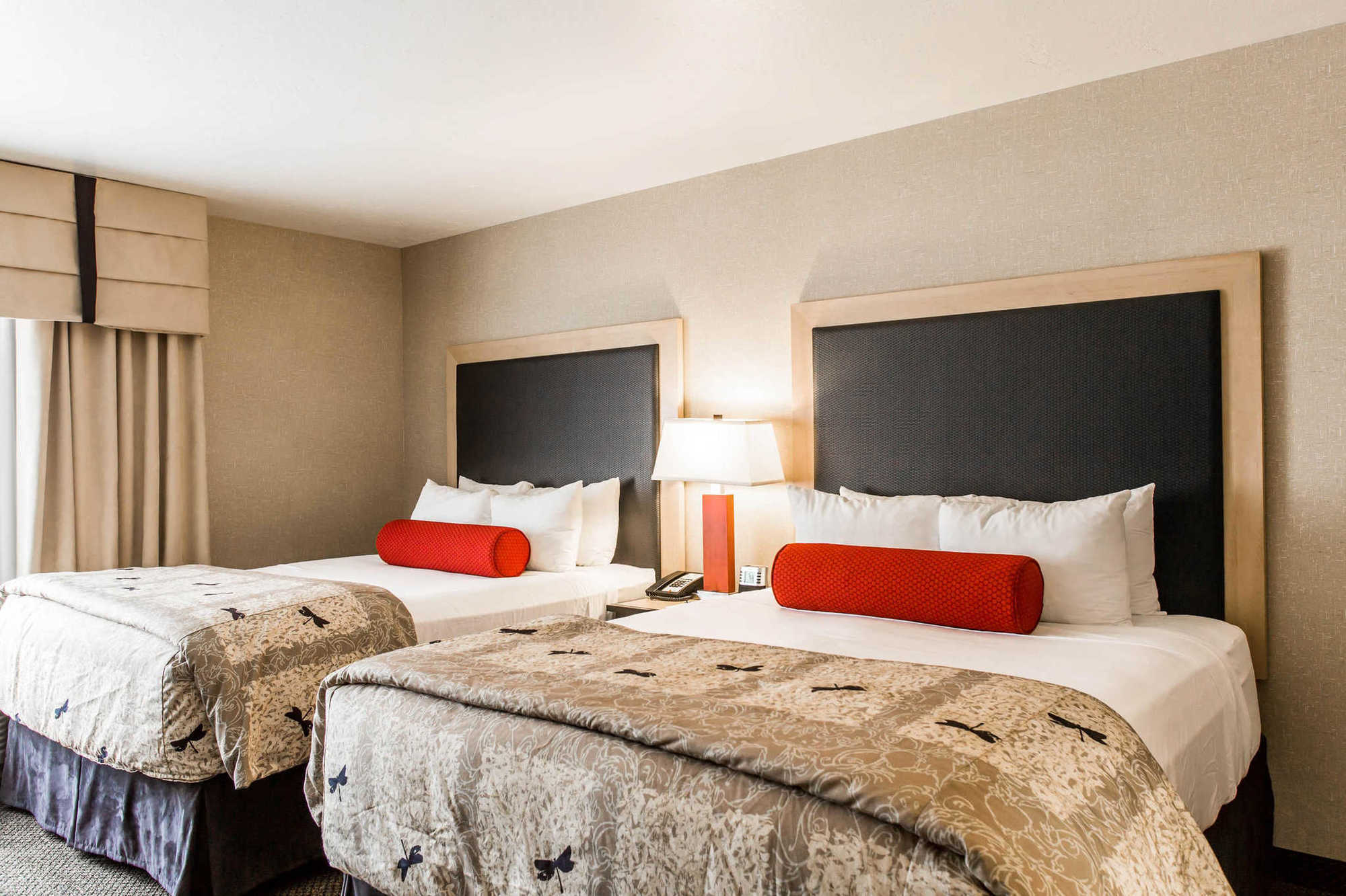 Springhill Suites By Marriott Roanoke Værelse billede