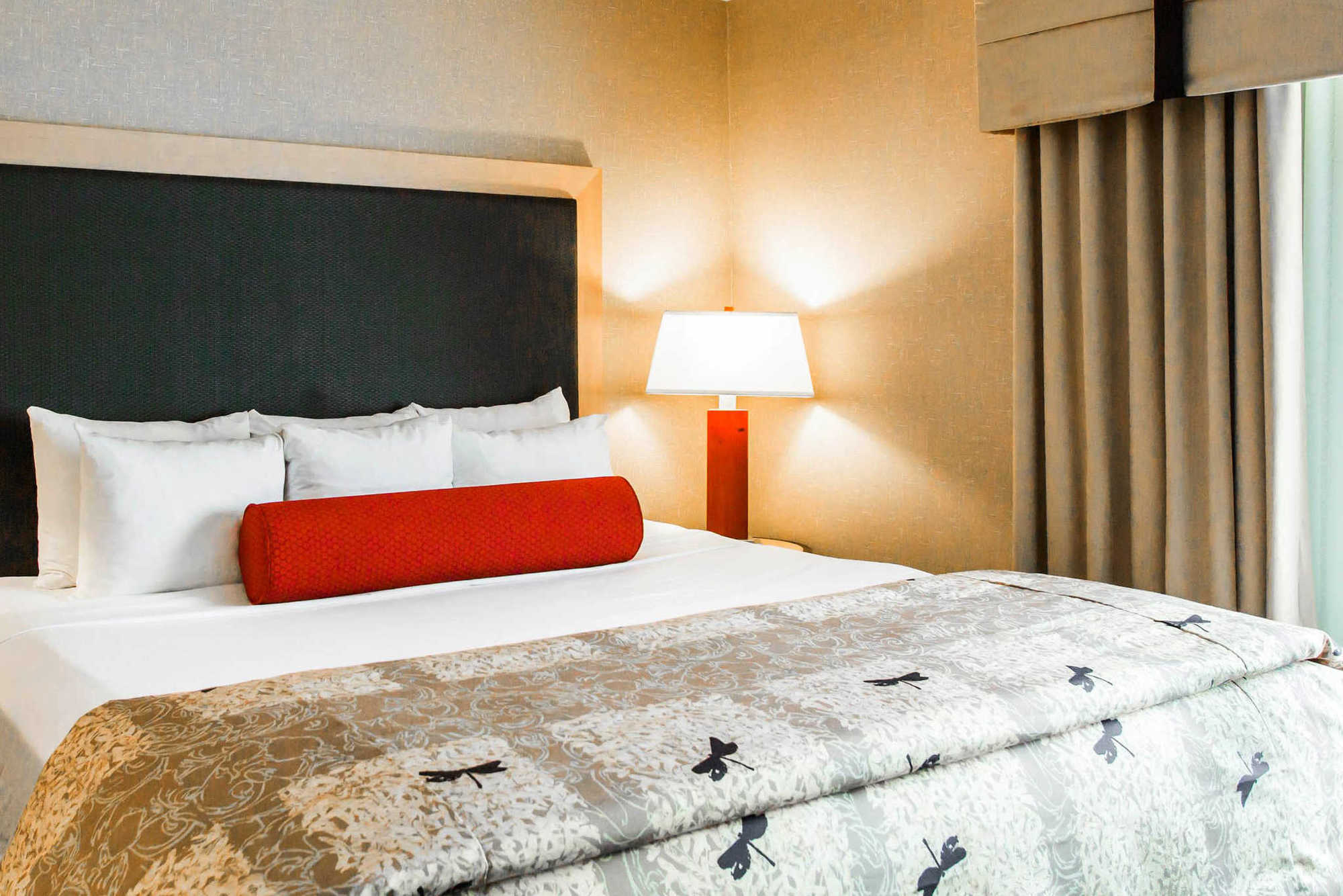 Springhill Suites By Marriott Roanoke Værelse billede