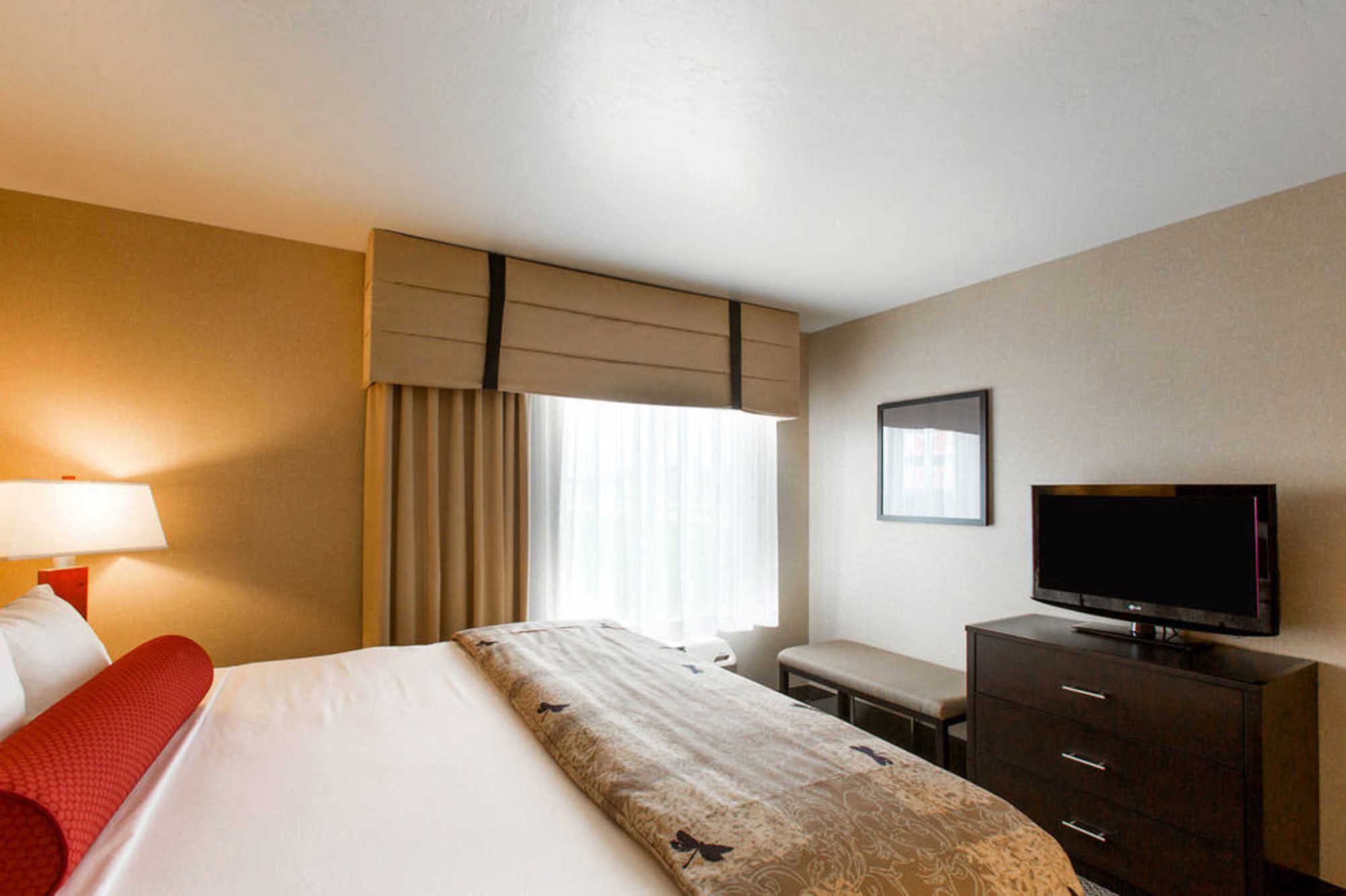 Springhill Suites By Marriott Roanoke Værelse billede