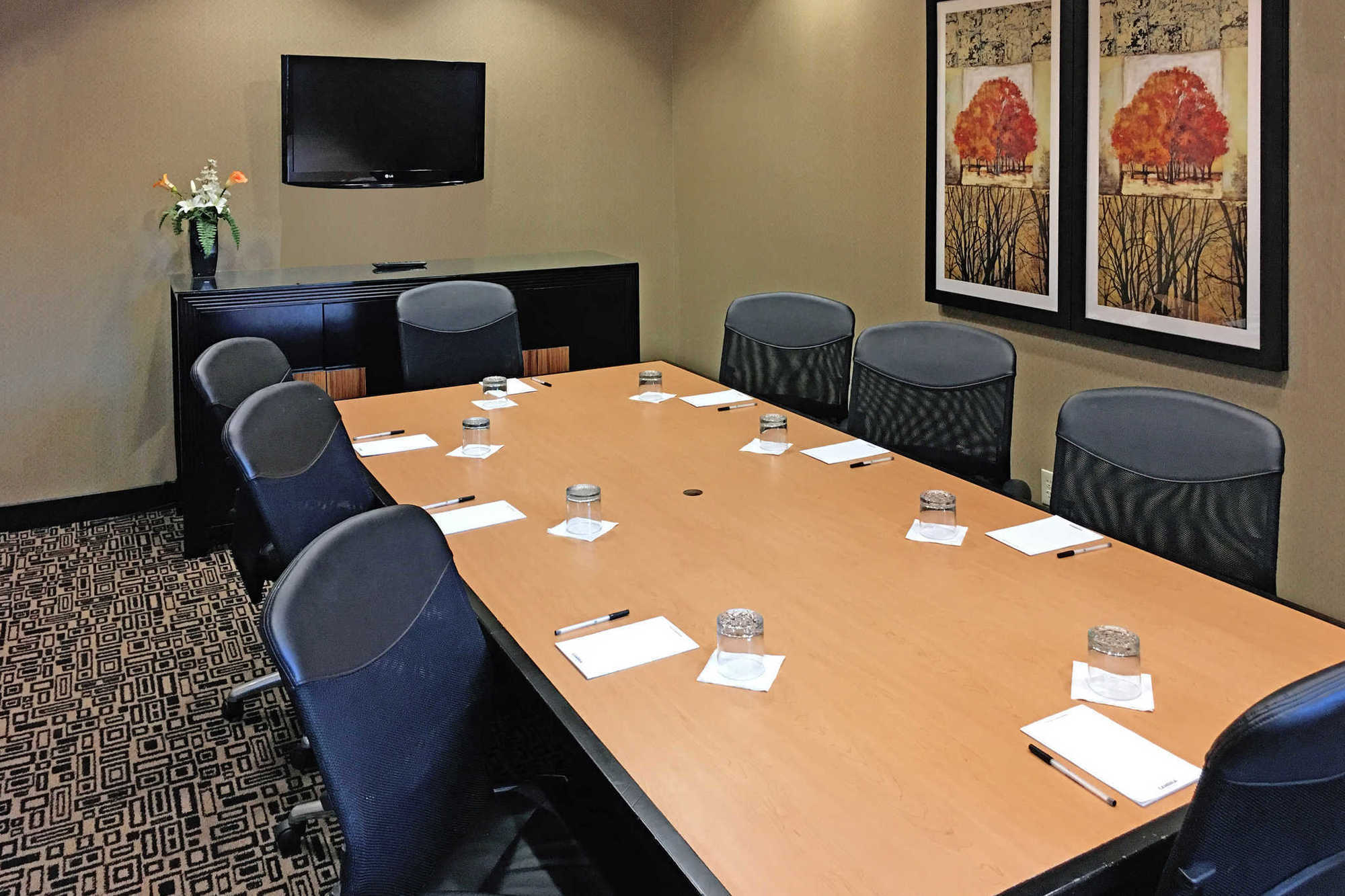 Springhill Suites By Marriott Roanoke Faciliteter billede