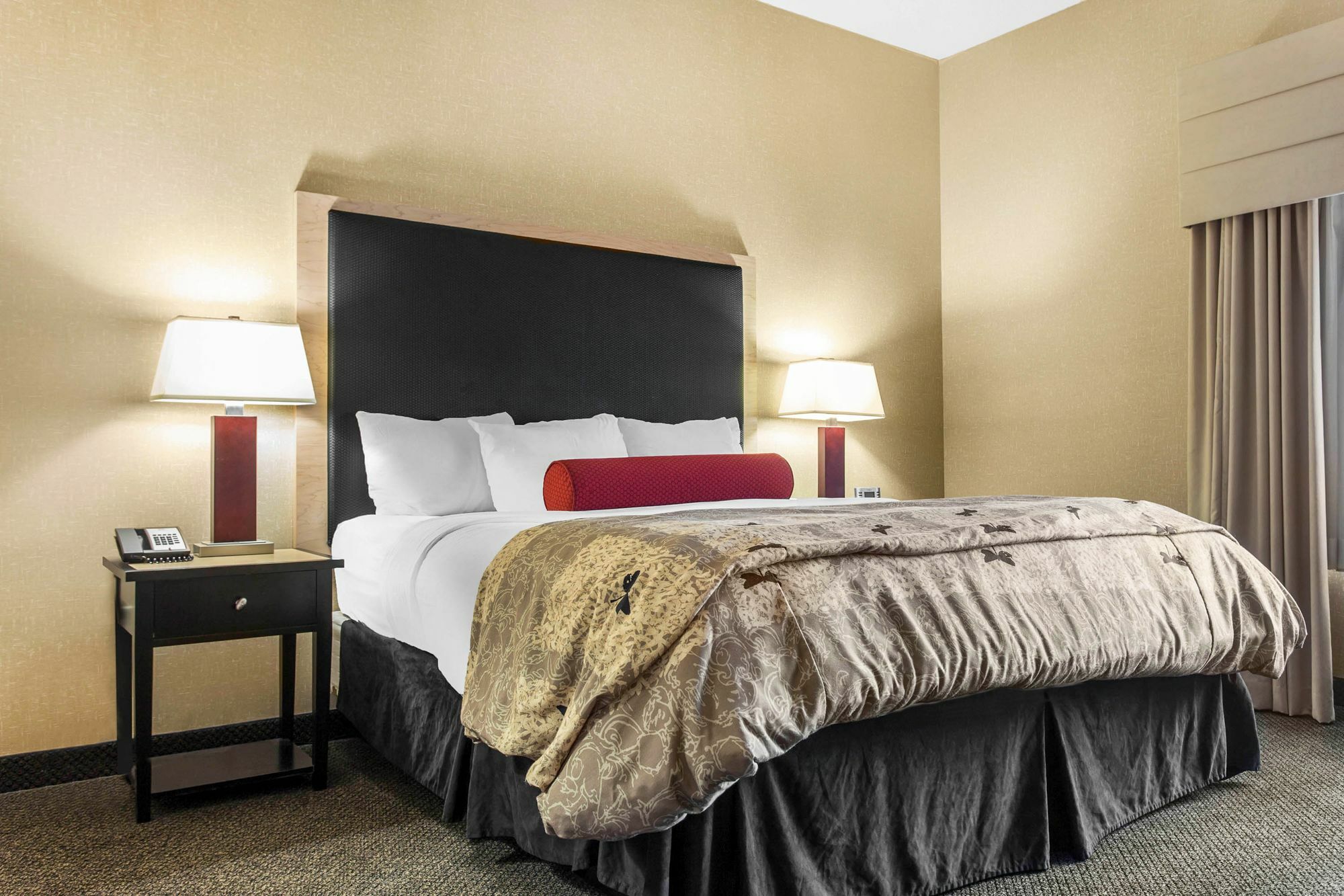 Springhill Suites By Marriott Roanoke Eksteriør billede