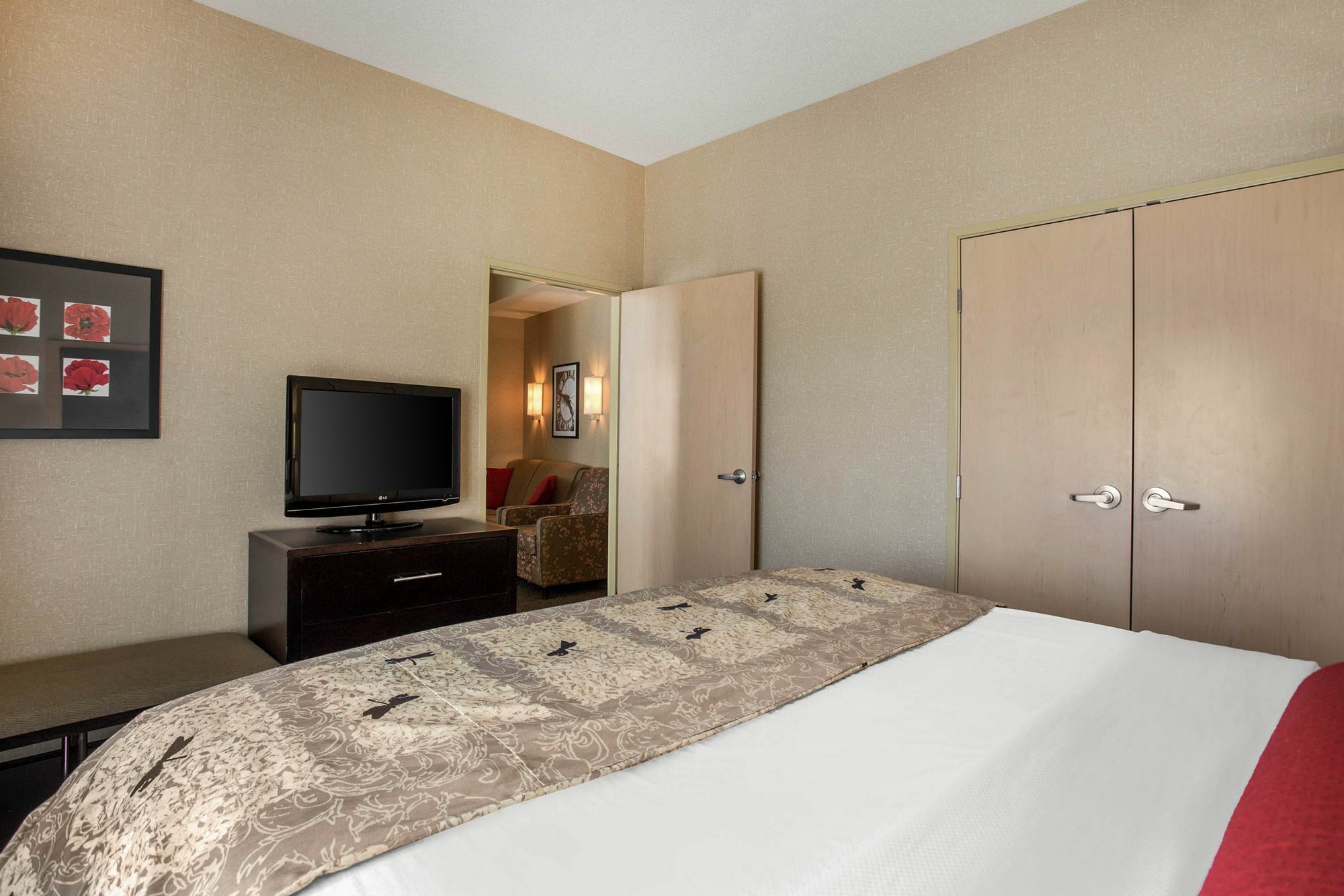 Springhill Suites By Marriott Roanoke Eksteriør billede