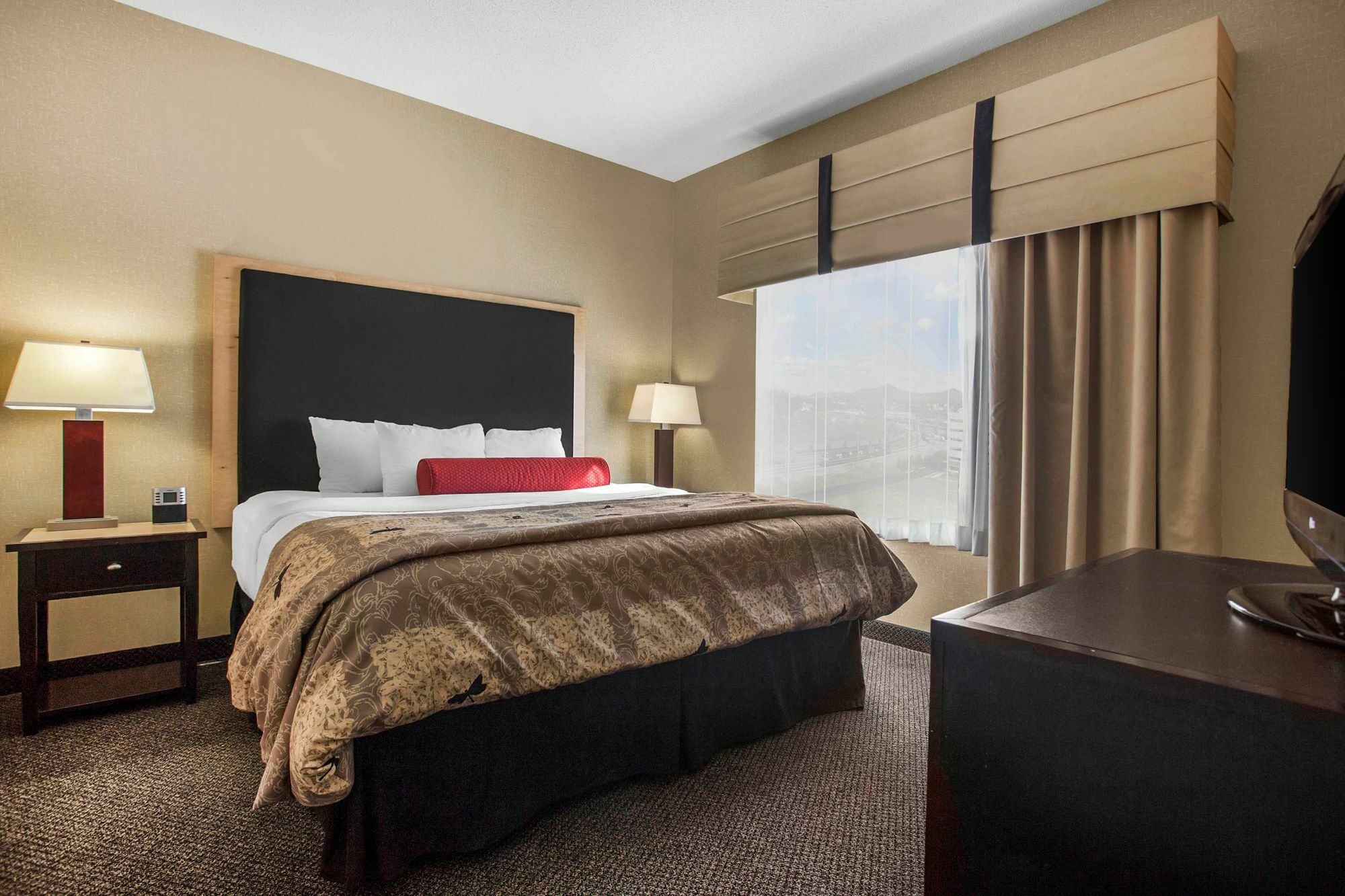 Springhill Suites By Marriott Roanoke Eksteriør billede